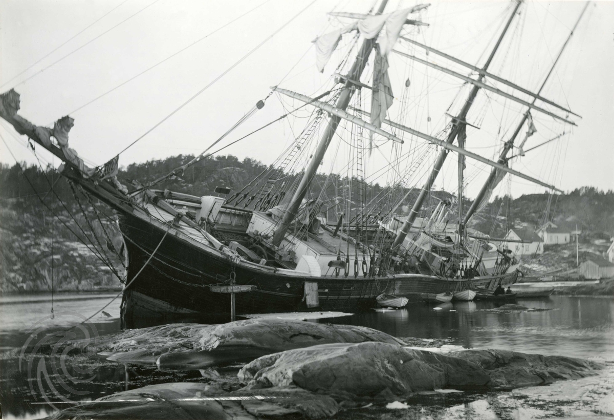 Bark Latona strandet på Skomakerkjær i Risør i 1905. Foto: Ukjent, Norsk Maritimt Museum