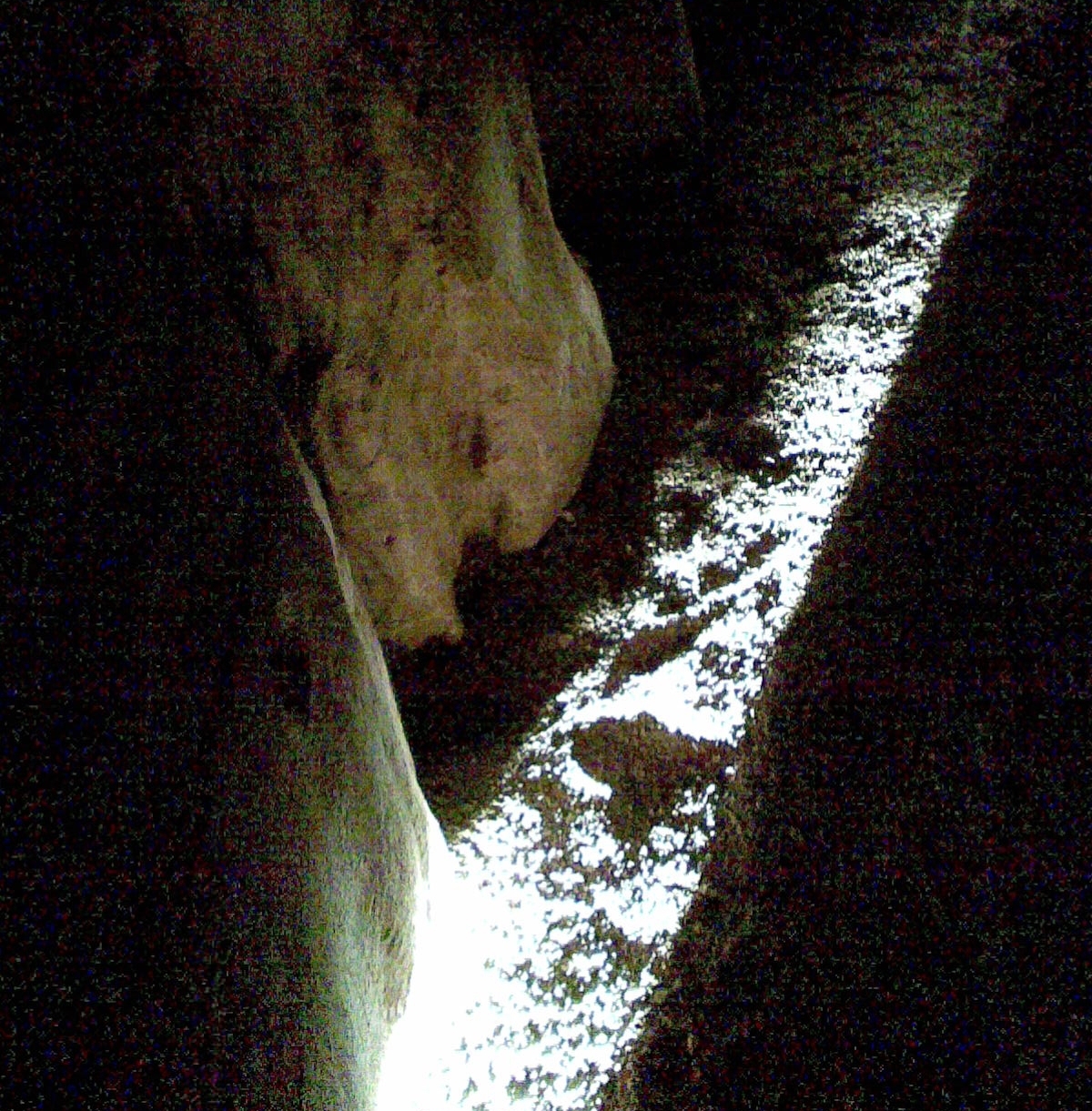 Midtvinter, Newgrange. Foto: Dentp, wikimedia commons